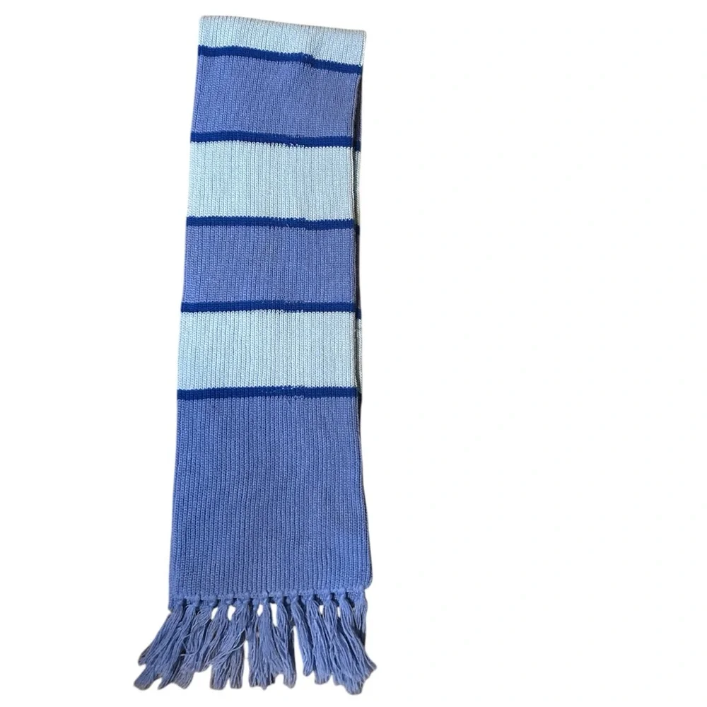 Blue Striped Scarf with Fringe